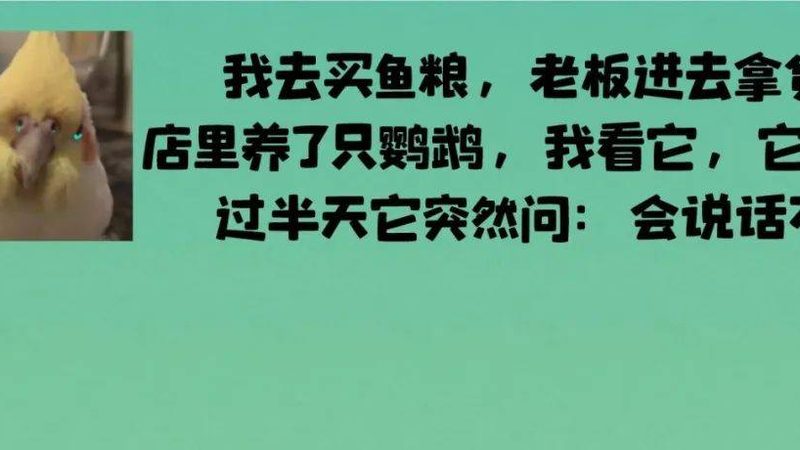 火锅底料：500克与1千克，哪种更适合你？**